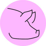 Porc